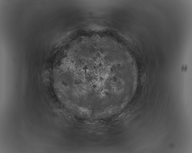 X0000092221397200710051148