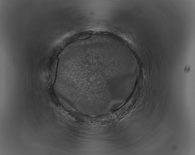 X0000092221398200710051148