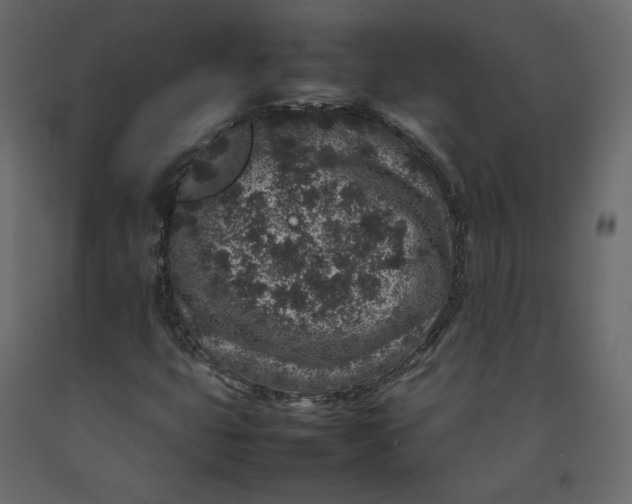 X0000092221399200710051148