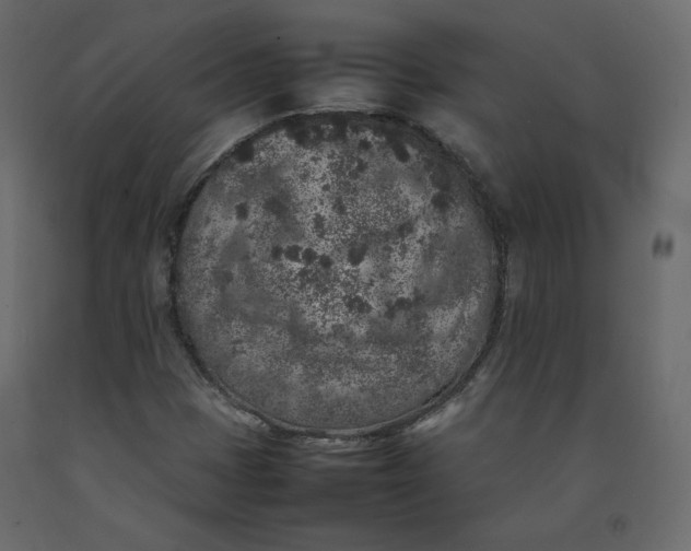 X0000092221401200710051148