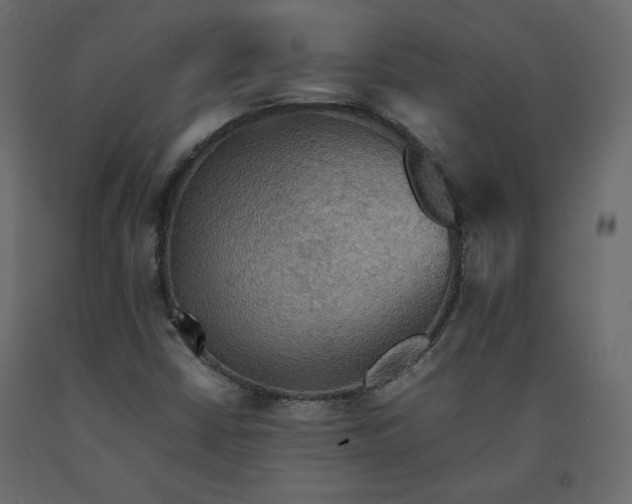 X0000092221402200710051148