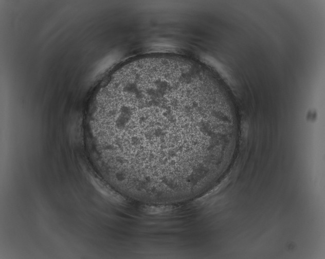 X0000092221403200710051148