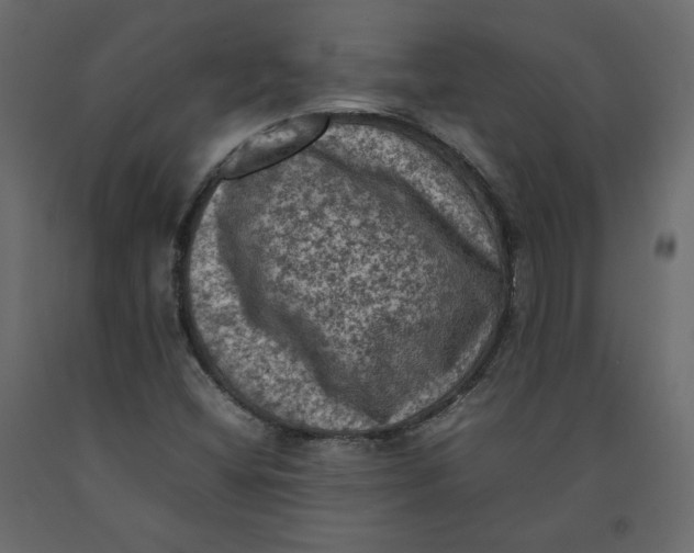 X0000092221404200710051148
