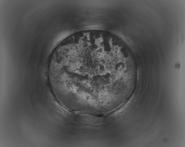X0000092221405200710051148