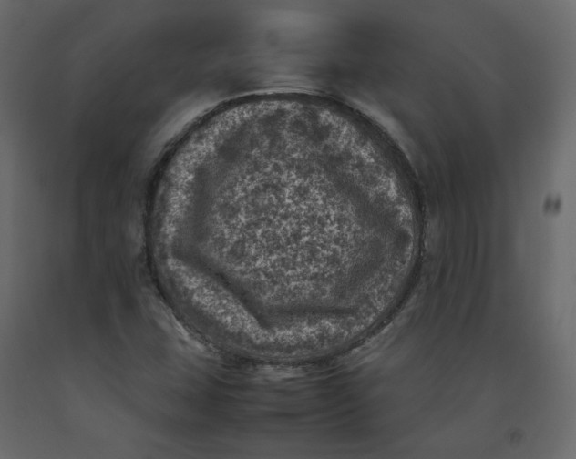 X0000092221407200710051148