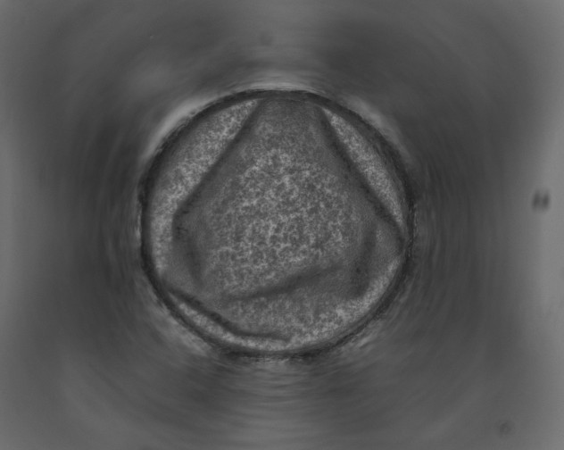 X0000092221408200710051148