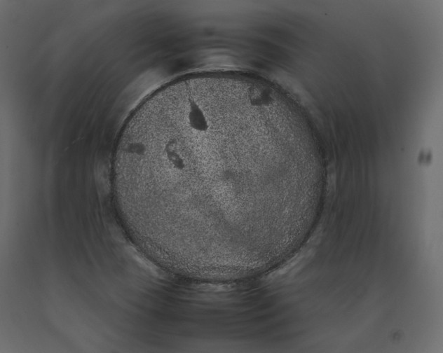 X0000092221409200710051148