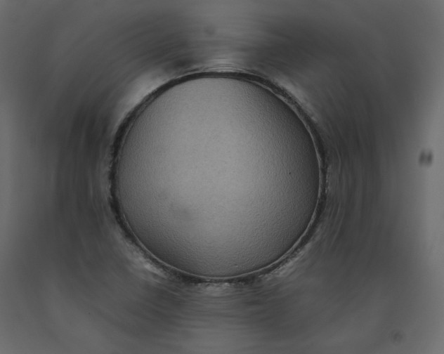 X0000092221410200710051148