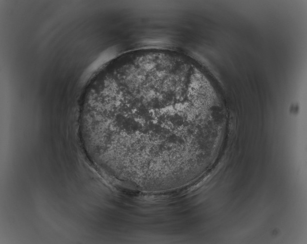 X0000092221411200710051148