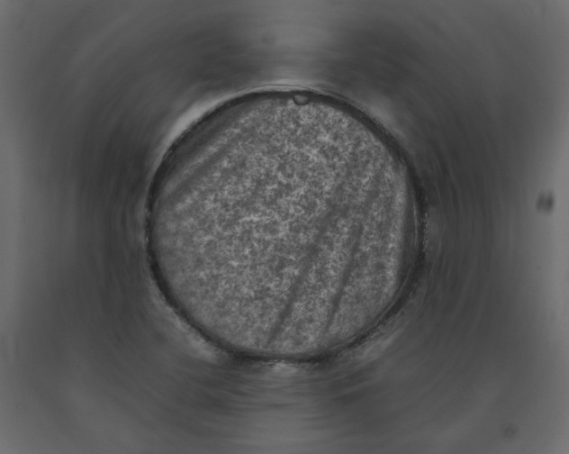 X0000092221412200710051148