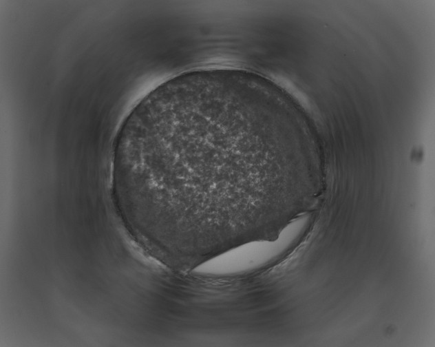 X0000092221413200710051148