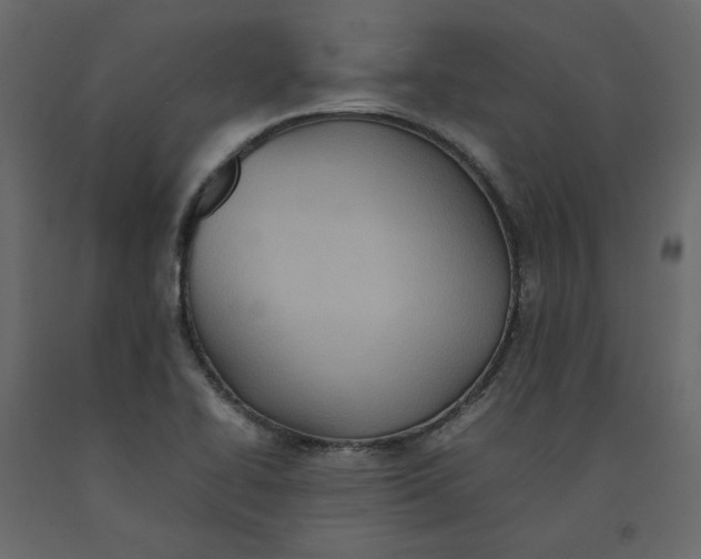 X0000092221414200710051148