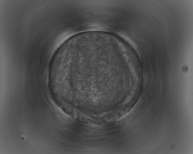 X0000092221415200710051148