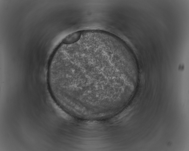 X0000092221416200710051148
