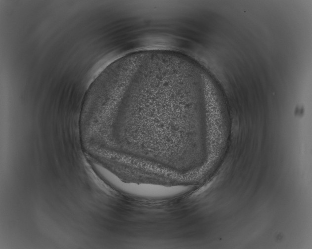 X0000092221417200710051148
