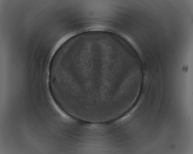 X0000092221418200710051148
