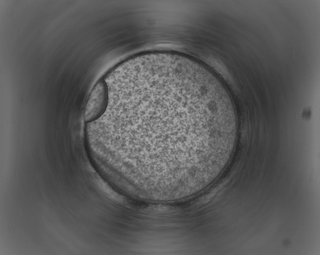 X0000092221420200710051149