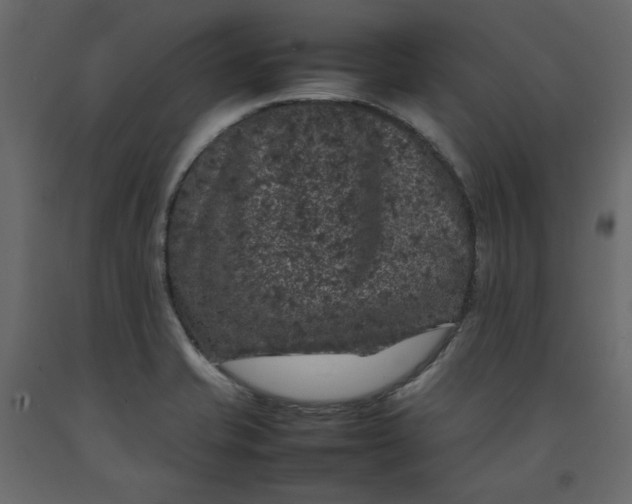 X0000092221421200710051149