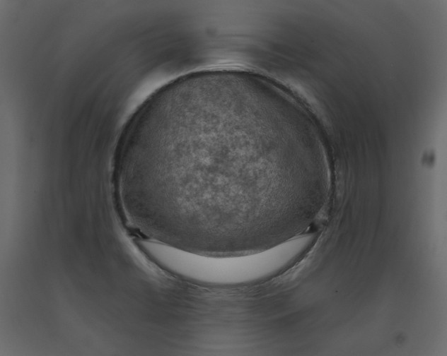 X0000092221422200710051149