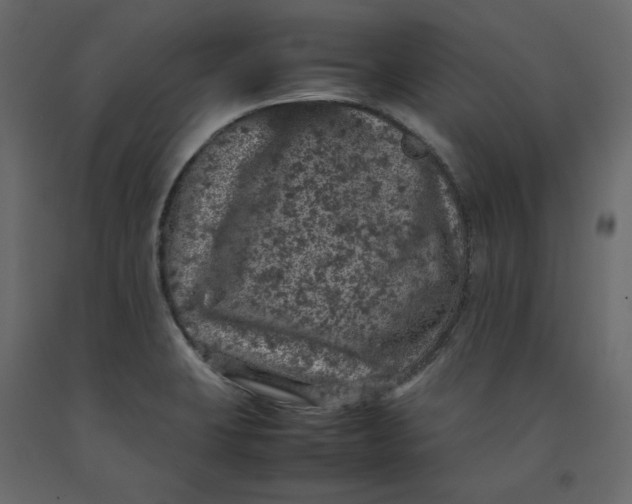 X0000092221423200710051149