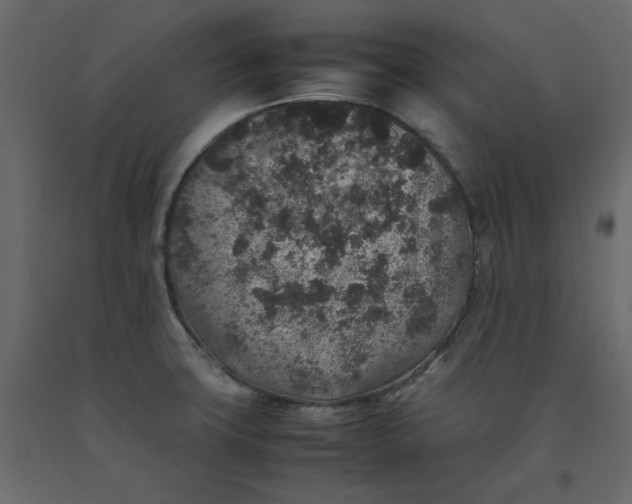 X0000092221427200710051149