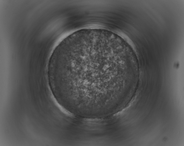 X0000092221429200710051149