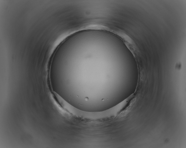 X0000092221430200710051149