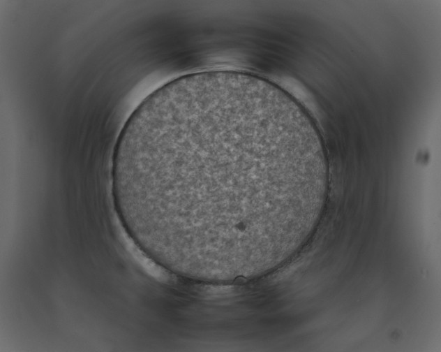X0000092221431200710051149