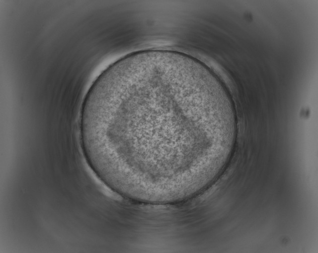X0000092221432200710051149