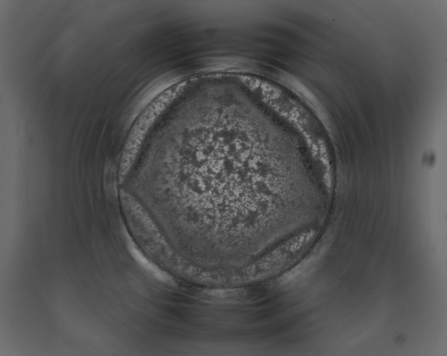 X0000092221433200710051149