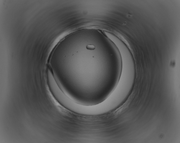X0000092221434200710051149