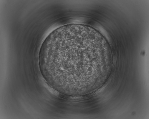 X0000092221435200710051149