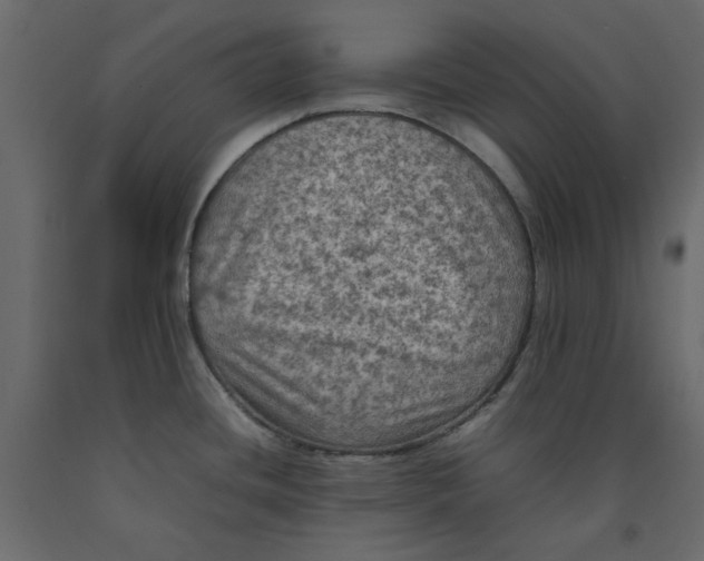 X0000092221436200710051149