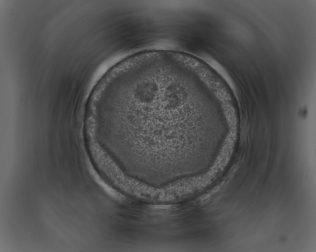 X0000092221437200710051149