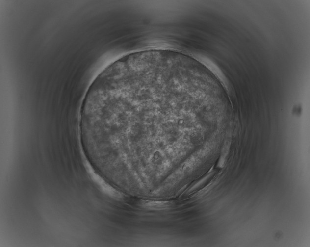 X0000092221439200710051149