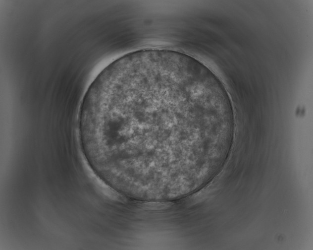 X0000092221440200710051149