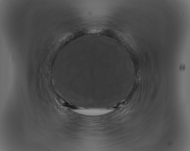 X0000092221441200710051148