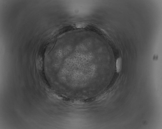X0000092221443200710051148