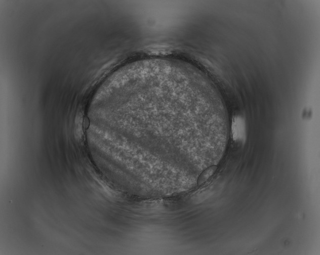 X0000092221444200710051148