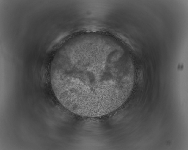 X0000092221446200710051148