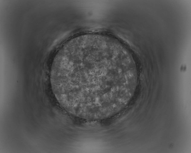 X0000092221447200710051148