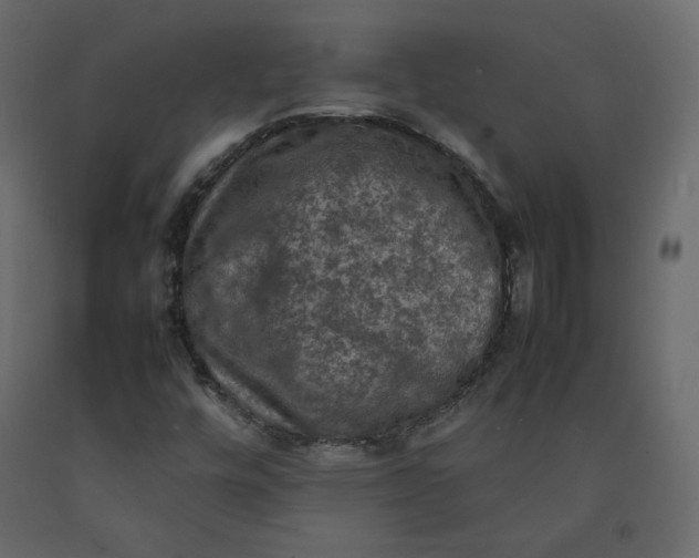X0000092221448200710051148