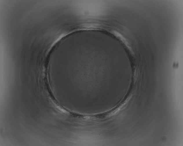 X0000092221449200710051148
