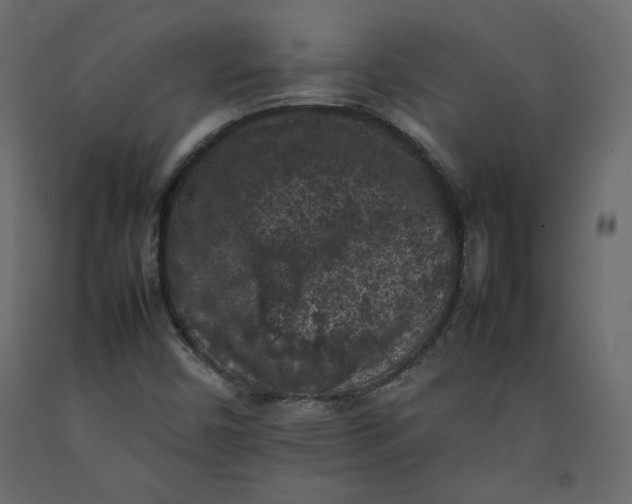 X0000092221450200710051148