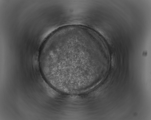 X0000092221452200710051148