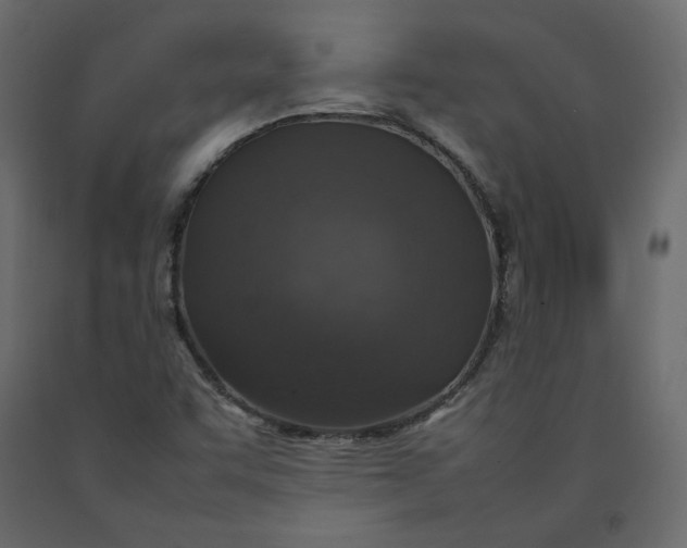 X0000092221455200710051148