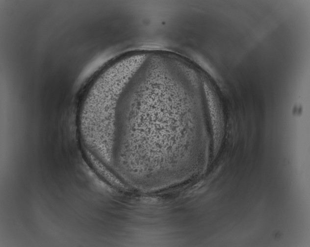 X0000092221456200710051148