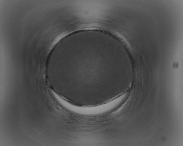 X0000092221457200710051148