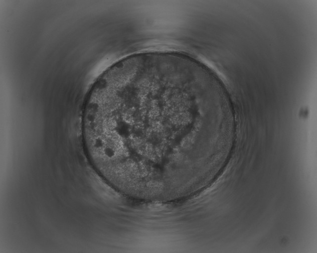 X0000092221459200710051148