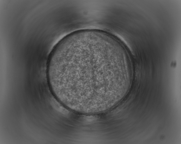 X0000092221460200710051148